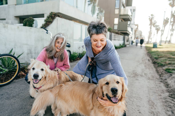 istock Dog owners on morning walk 1189828994