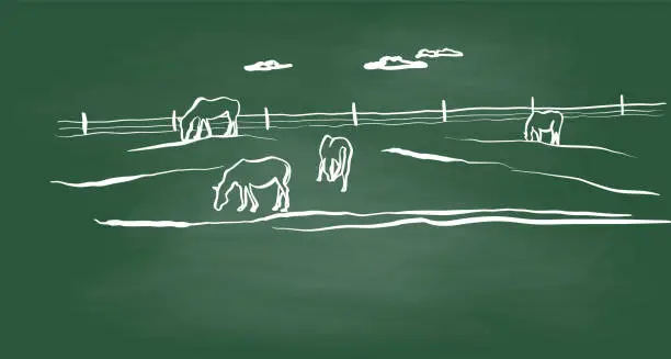 Vector illustration of Horse Pasture Impression Chalkboard