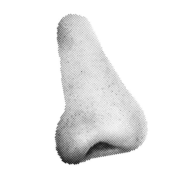 ilustrações, clipart, desenhos animados e ícones de nariz humano do halftone isolado no fundo branco. vista lateral - nariz