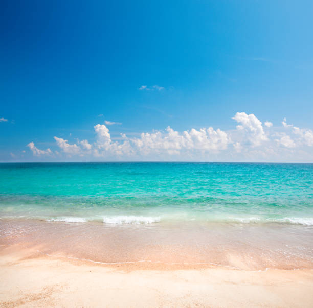 istock beautiful beach and tropical sea 1189834336