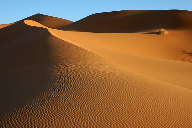 istock Sea of sand 118983454
