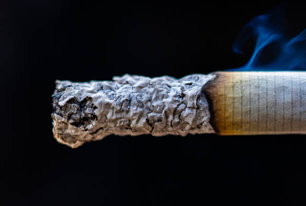 istock cigarette detail macro smoke in cigar 1189835037
