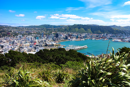 Wellington bay and cityscape as seen from Mount Victoria. Wellington, New Zealand North Island.
