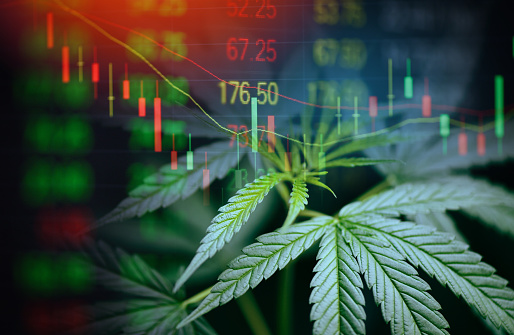 Business cannabis marijuana stock exchange market graph business / cannabis leaves on trading and investment of financial money price stock chart exchange growth and crisis money concept