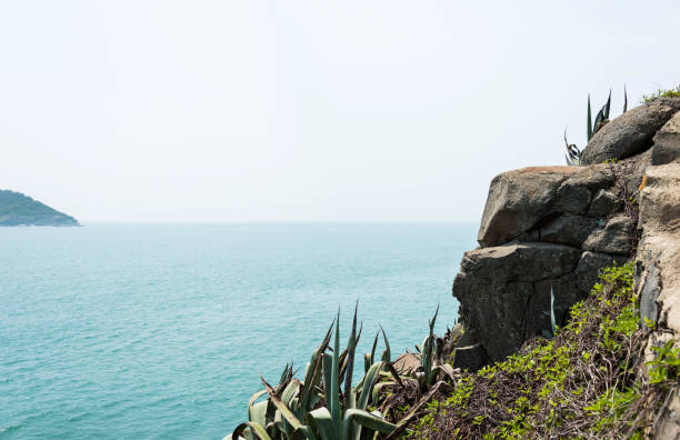 Rock cliff on the sea.