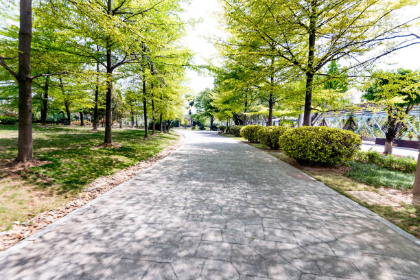 istock Paving stone in the formal garden 1189868439