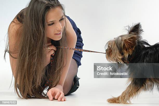 少女と犬 - 引くのストックフォトや画像を多数ご用意 - 引く, 犬, ひざまずく