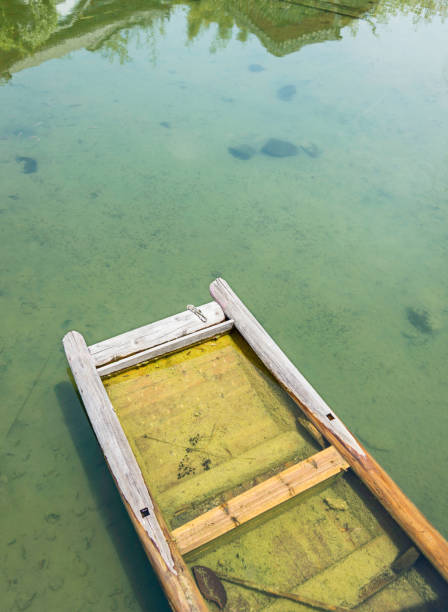 istock Old wooden boat in pond 1189871036
