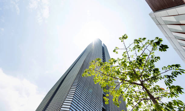 istock Business skyscraper and green leaves 1189873528