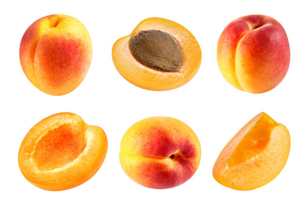 istock Apricot isolated Clipping Path 1189873612