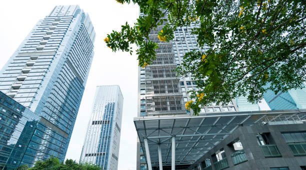 istock Business skyscraper and green leaves 1189873678