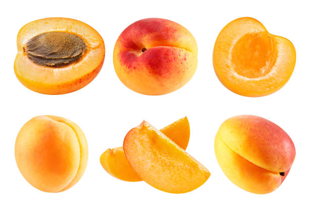 istock Apricot isolated Clipping Path 1189873769
