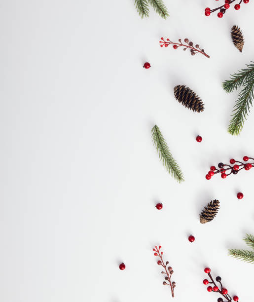 istock Evergreen tree branch and red berries 1189873795