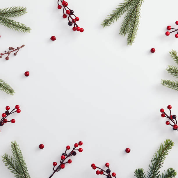 istock Evergreen tree branch and red berries 1189873815