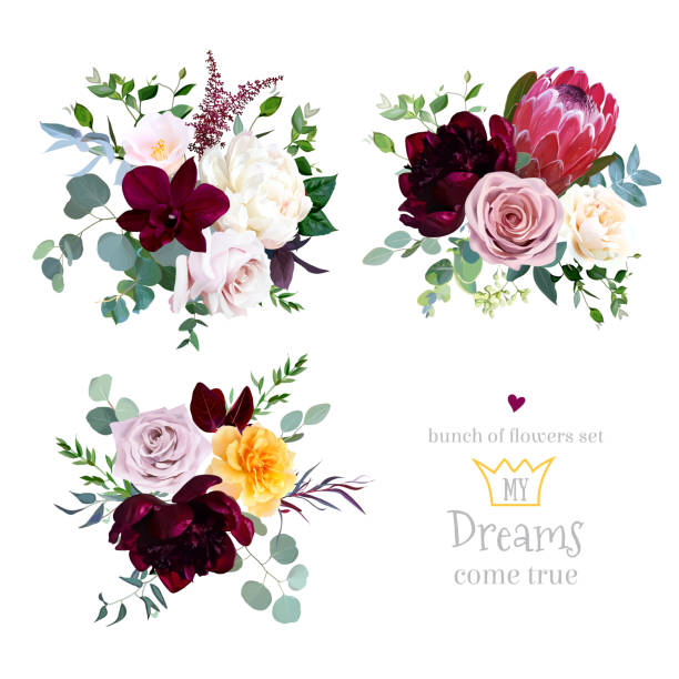 Dusty pink, yellow and creamy rose, magenta protea, burgundy and white peony flowers Dusty pink, yellow and creamy rose, magenta protea, burgundy and white peony flowers, orchid, pink camellia, eucalyptus, greenery, berry, marsala astilbe vector design bouquets. Isolated and editable flower arrangement bouquet variation flower stock illustrations