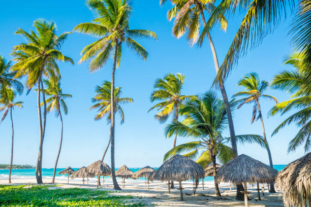 istock Unusually beautiful sunny beach 1189876250