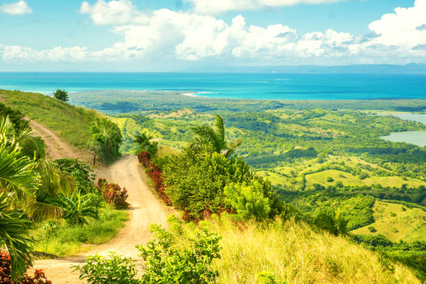 istock Beautiful bright summer landscape 1189876524