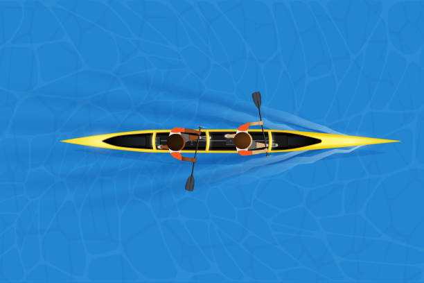 ilustrações, clipart, desenhos animados e ícones de sprint double canoe com paddler - double row