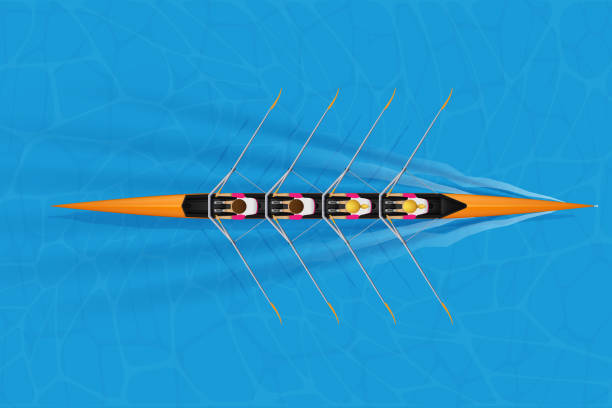 четыре гонки оболочки со смешанными гребцов - rowing rowboat sport rowing oar stock illustrations