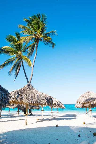 istock Unusually beautiful sunny beach 1189880754