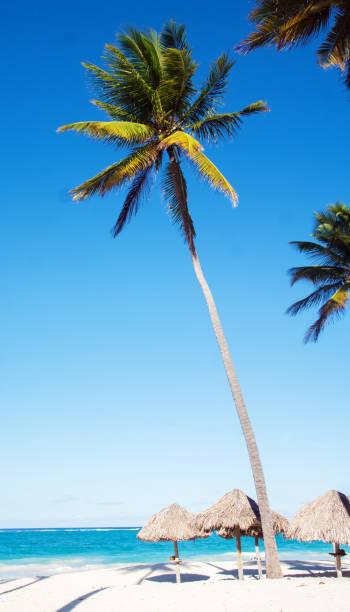 istock Unusually beautiful sunny beach 1189881567