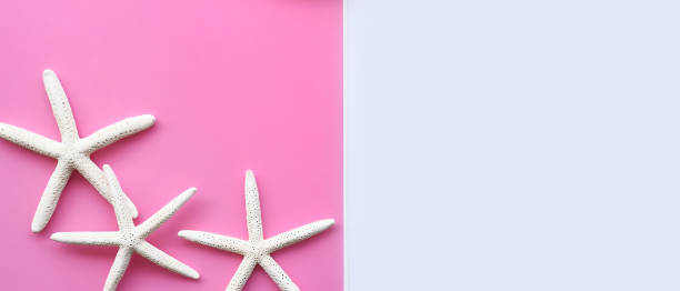 istock close up of starfish 1189881568