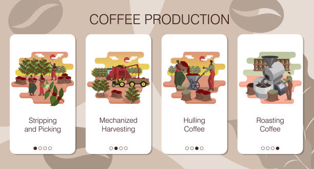 커피 생산에 관한 농업 회사의 모바일 앱 페이지 세트 - 식품 가공 공장 일러스트 stock illustrations