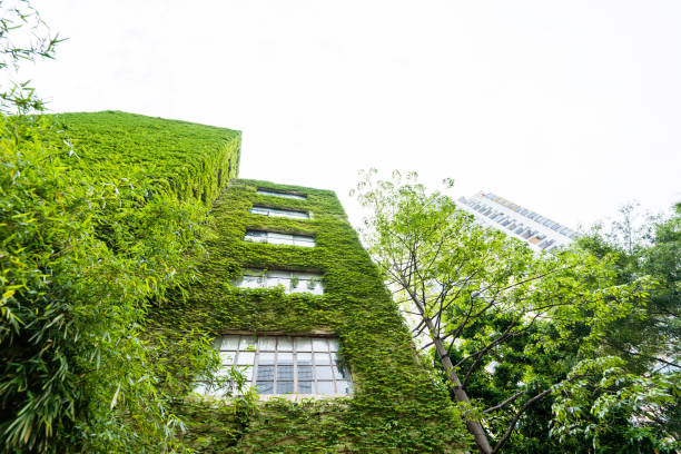 istock Green plants on wall of apartment building 1189882697