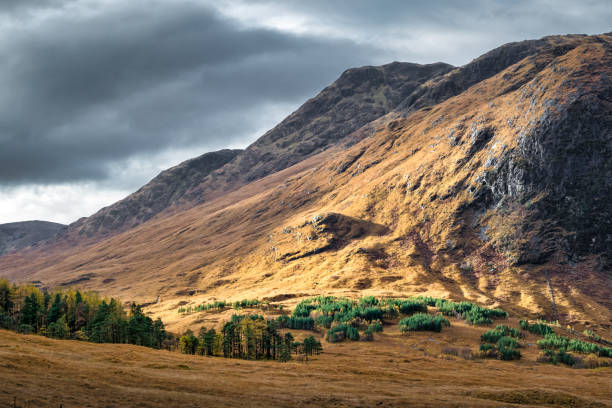 istock Sunlight in the Scottish Highlands 1189884440