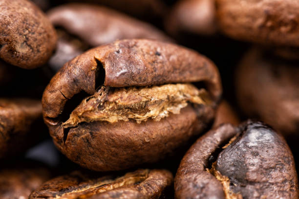 coffee bean