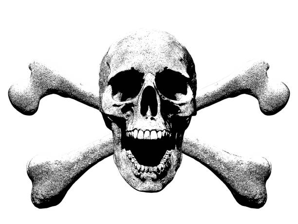 istock Skull and crossbones symbol clipart isolated in background - 3d Illustration 1189884737