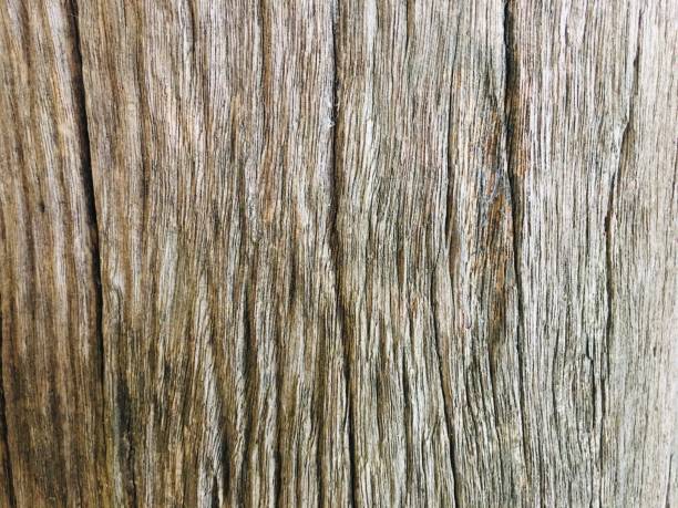 istock Old gray wood grain texture background 1189888388
