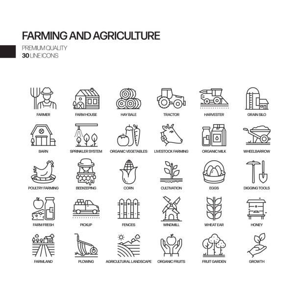 ilustrações, clipart, desenhos animados e ícones de simples conjunto de agricultura e agricultura relacionados vetores linha vetorial. coleção de símbolos de esboço - produtor rural