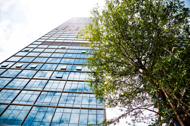 istock Modern office building with green leaves 1189888464