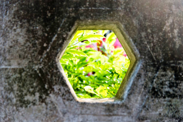 Perspective view in a dark maze of hedges.