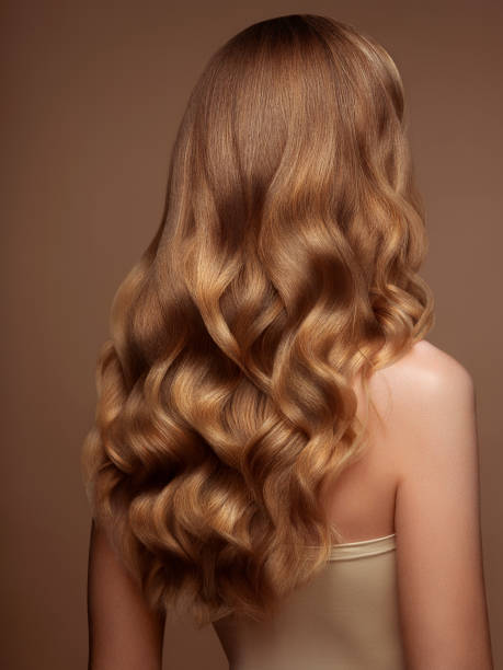blonde frau mit langen und glänzenden haaren - women long hair rear view beauty stock-fotos und bilder