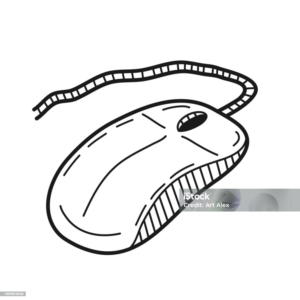 Hand Drawn Computer Mouse Isolated On A White Vector Illustration Stock ...