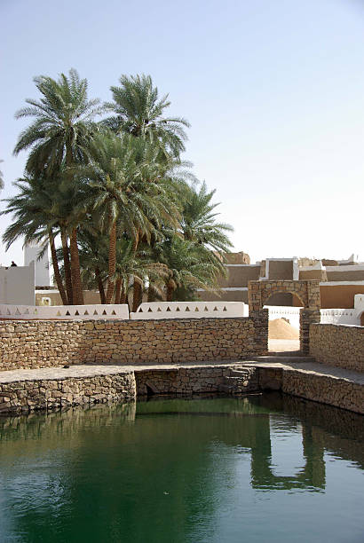 istock Berber oasis of Ghadames, Libya 118989755