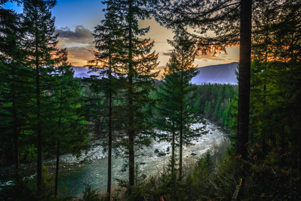 Snoqualmie River View Through the Forest, Washington stock photo