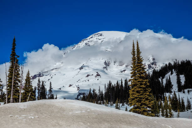 istock Mt. Rainier Winter Mountain View, Mt. Rainier National Park 1189900995