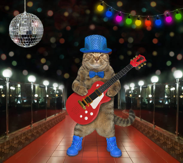 istock Cat plays electric guitar on stage 2 1189902598