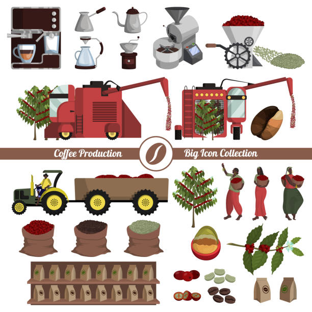 Coffee production, processing and preparation. Big icon collection Coffee production, processing and preparation. Big icon collection. Equipment, tools and transport. Workers and products. Ecological production.  Set of isolated objects on white background. Flat vector stubble stock illustrations