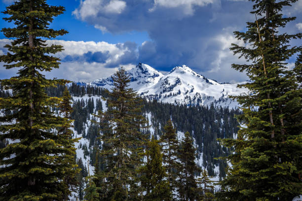 istock Mt. Rainier Winter Mountain View, Mt. Rainier National Park 1189902845