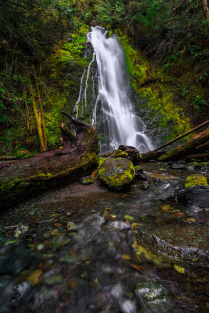 istock Madison Falls in Elwha River Valley, Olympic National Park 1189904759