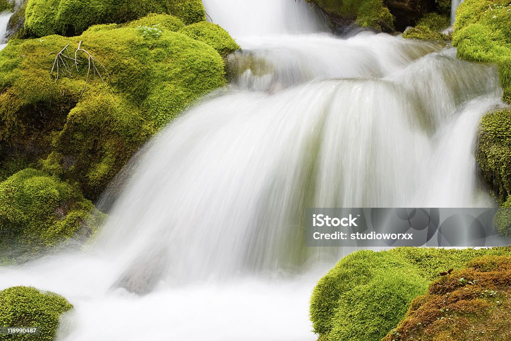 Flux de l'eau relaxant - Photo de Les Rocheuses libre de droits