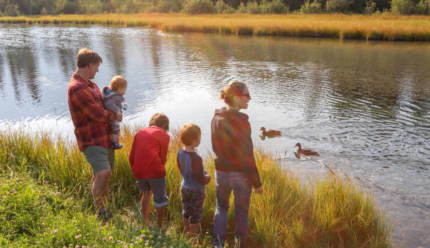 junge familie beobachtet enten schwimmen vorbei, bergbach - nature zen like stream water stock-fotos und bilder