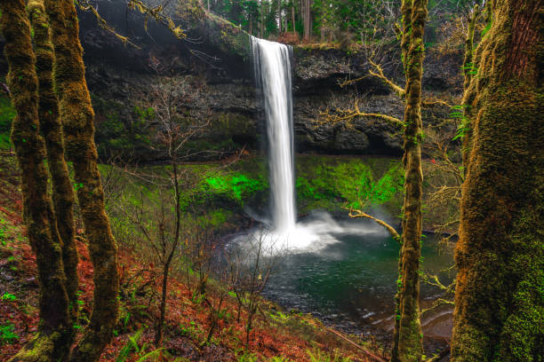 istock South Falls Views at Silver Falls State Park 1189907862