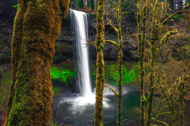 istock South Falls Views at Silver Falls State Park 1189907968