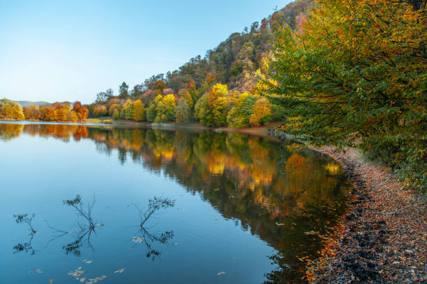 istock mountain with forets with lake under sky 1189908565
