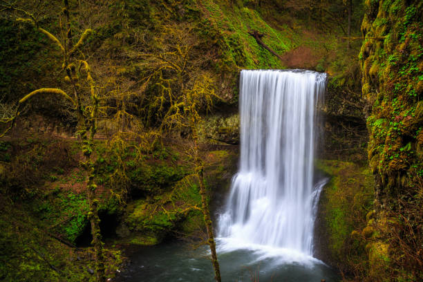 istock Lower South Falls at Silver Falls State Park 1189908679
